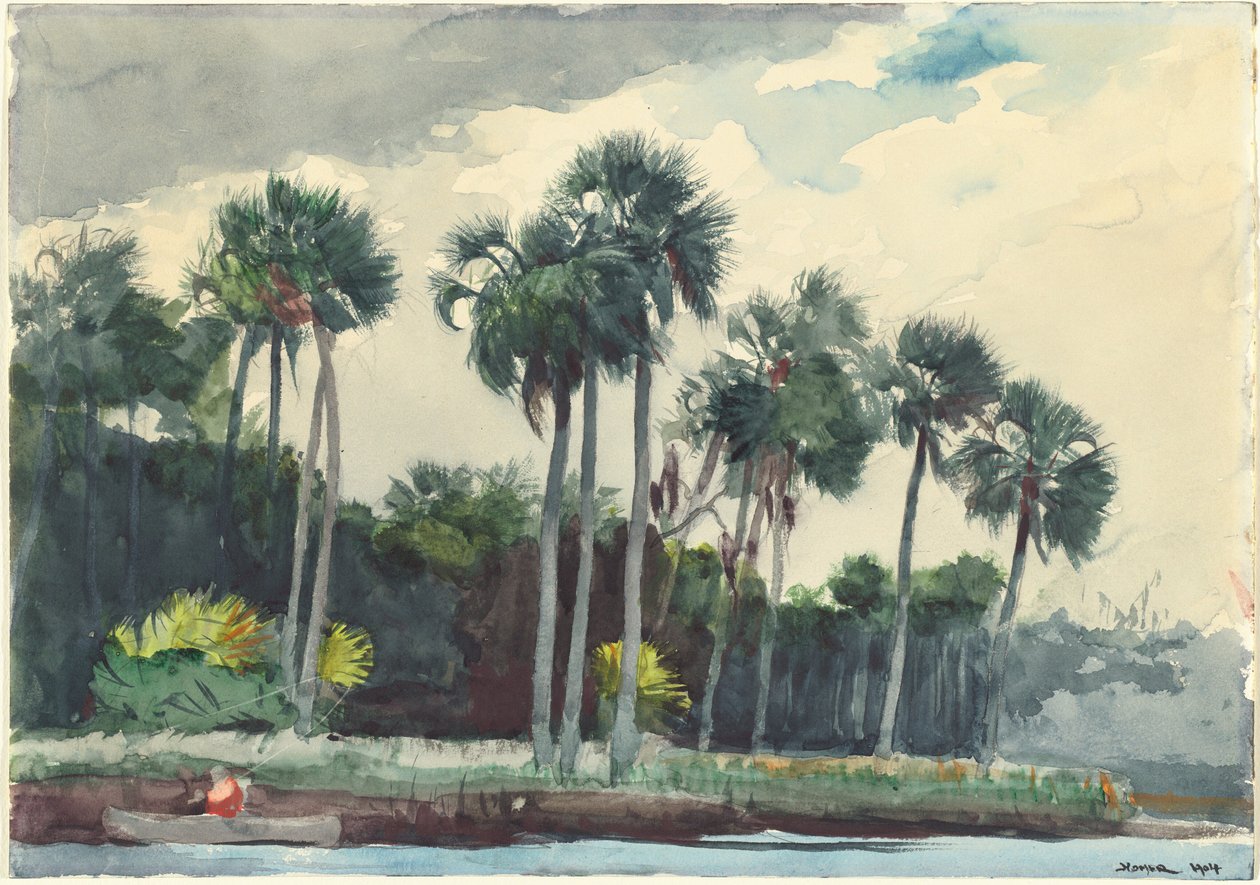 Kırmızı Gömlek, Homosassa, Florida, 1904. by Winslow Homer