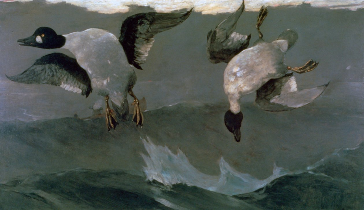 Sağ ve Sol, 1909 by Winslow Homer