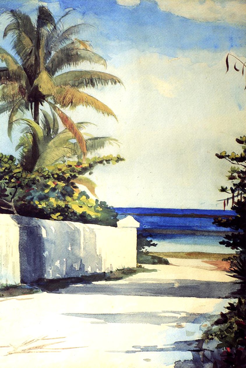 ನಸ್ಸೌದಲ್ಲಿ ರಸ್ತೆ, 1898-99 ಟರ್ಕ್ by Winslow Homer