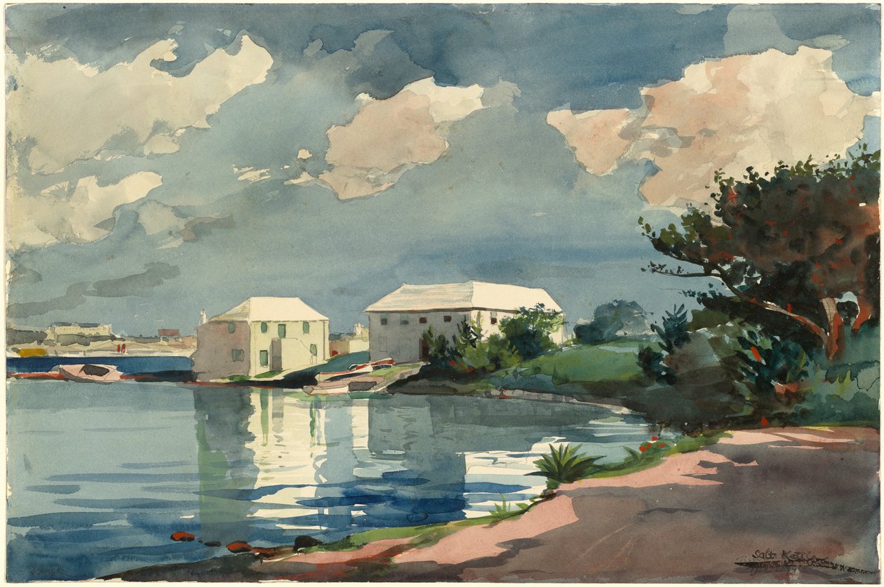 Tuzlu Su Isıtıcısı, Bermuda by Winslow Homer