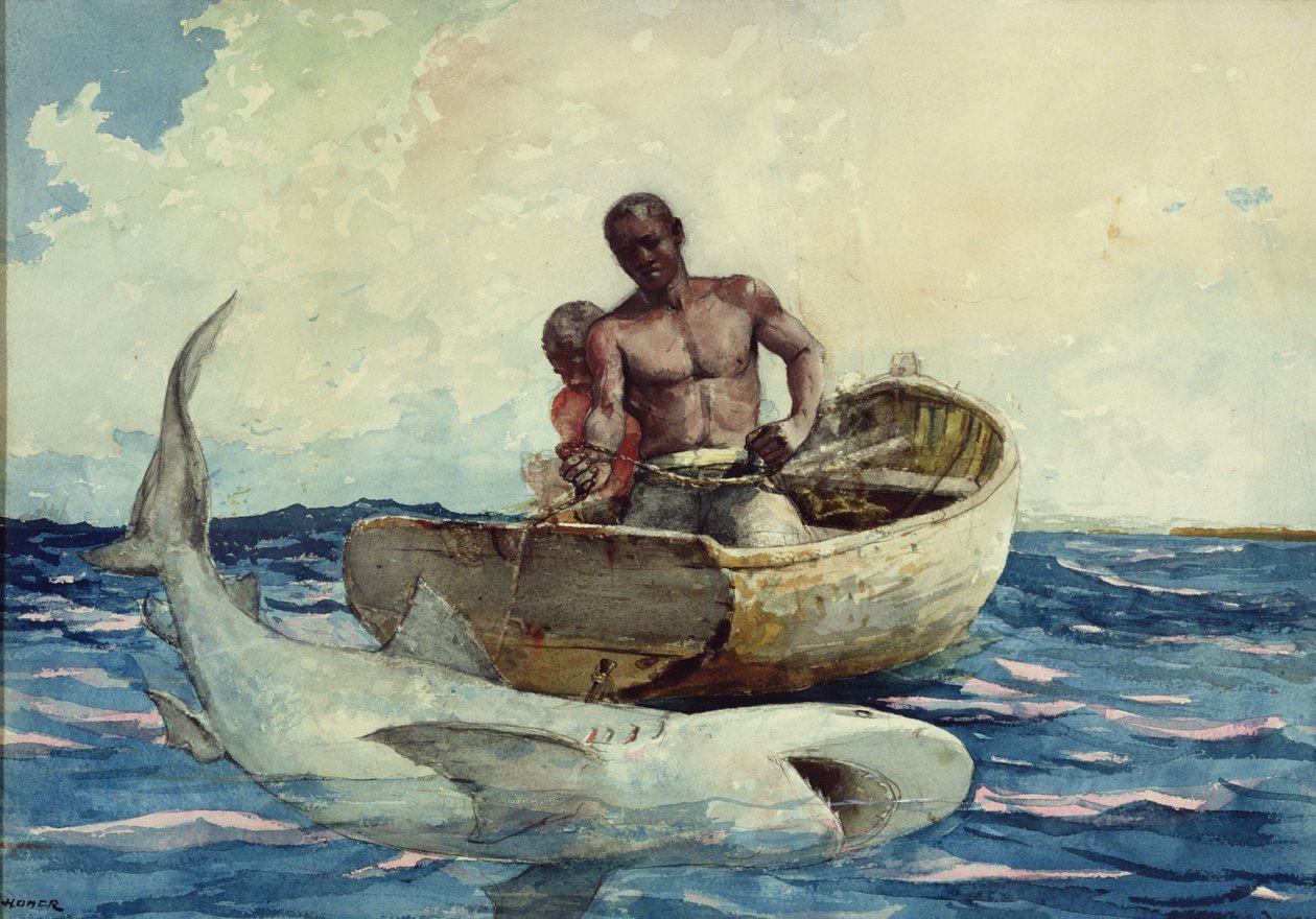 Köpekbalığı Avı, 1885 by Winslow Homer