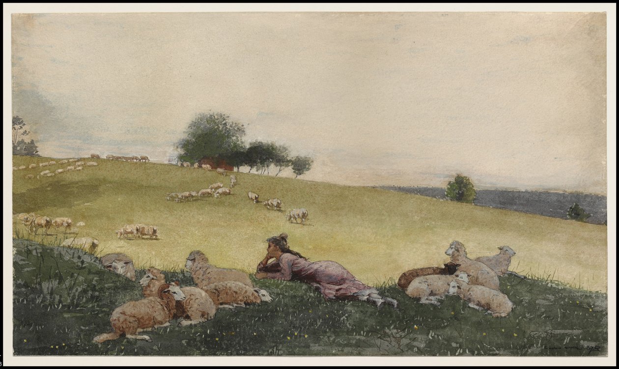 Houghton Çiftliğinin Çobanı, 1878 by Winslow Homer