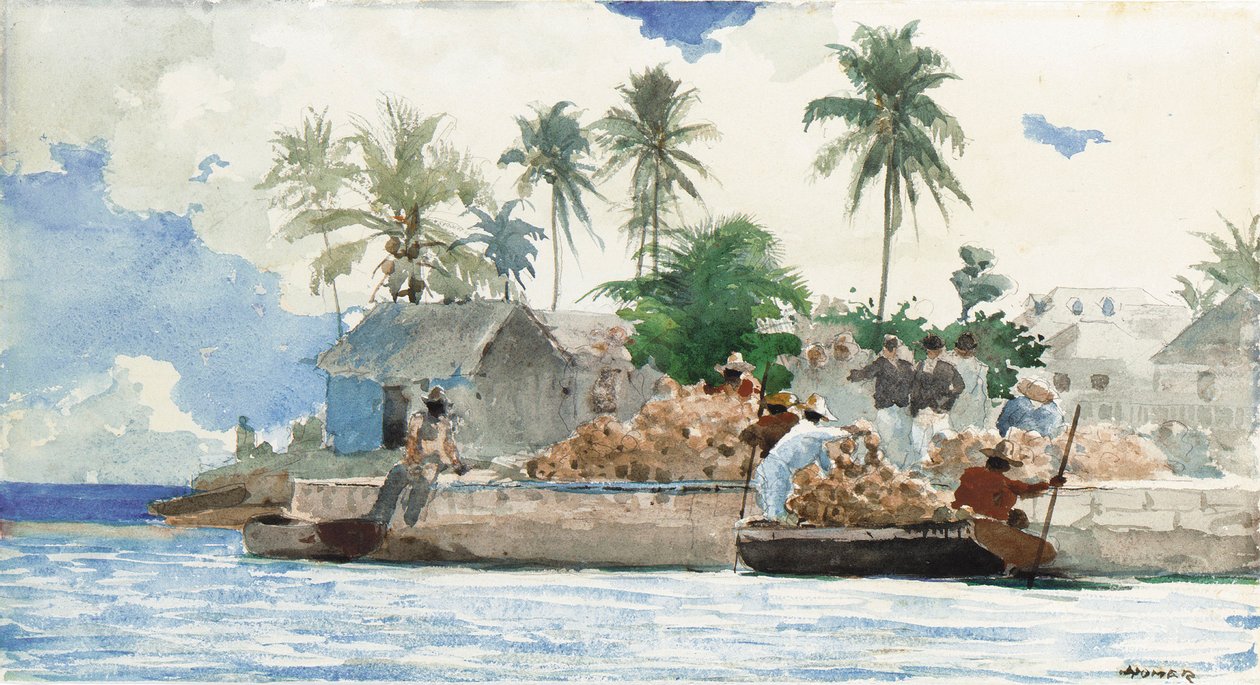 Sünger Balıkçı, Bahamalar by Winslow Homer