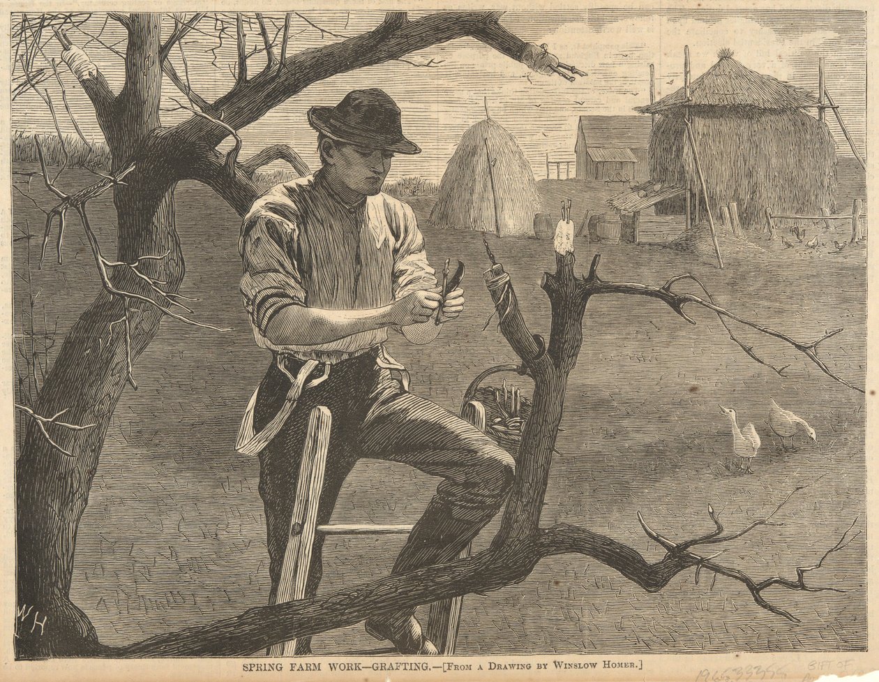Bahar Çiftliği Çalışması by Winslow Homer