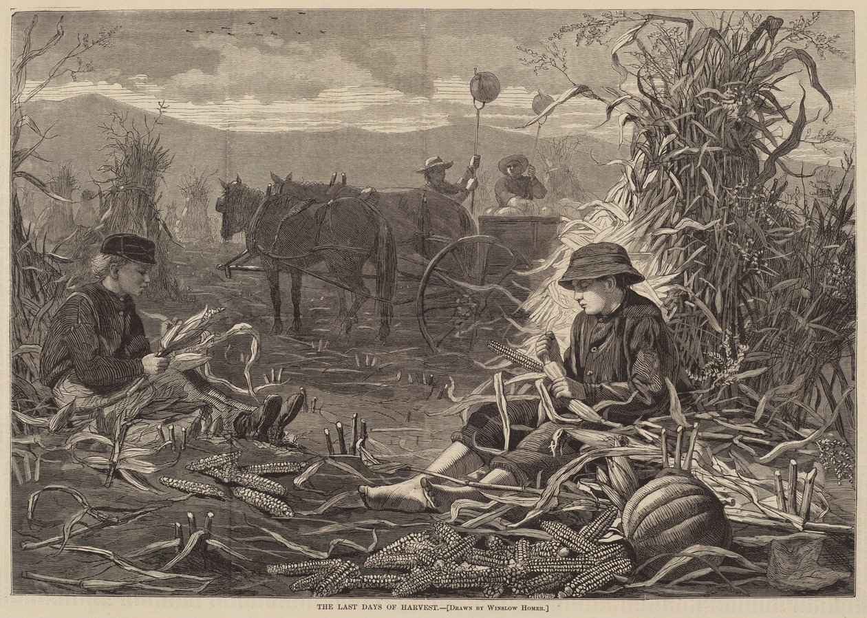 Hasatın Son Günleri, 1873
