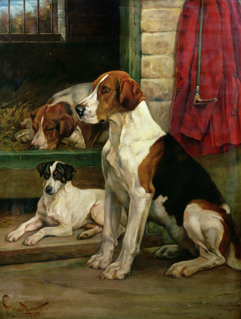Kennels tarafından by Wright Barker