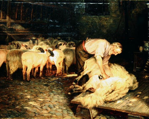 Shearer (tuval üzerine yağlı boya) by Wright Barker