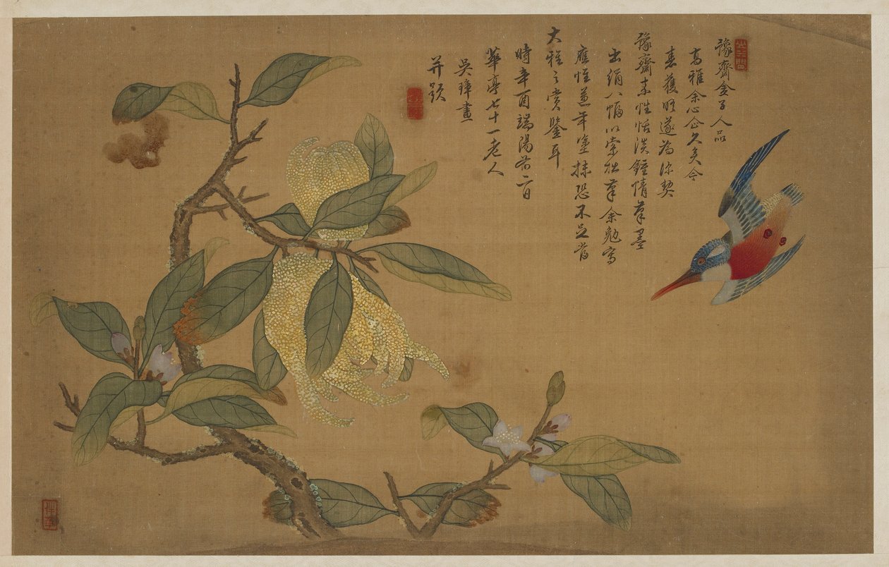 Kuş, Meyve ve Çiçekler, Qing hanedanı, 1741. by Wu Zhang