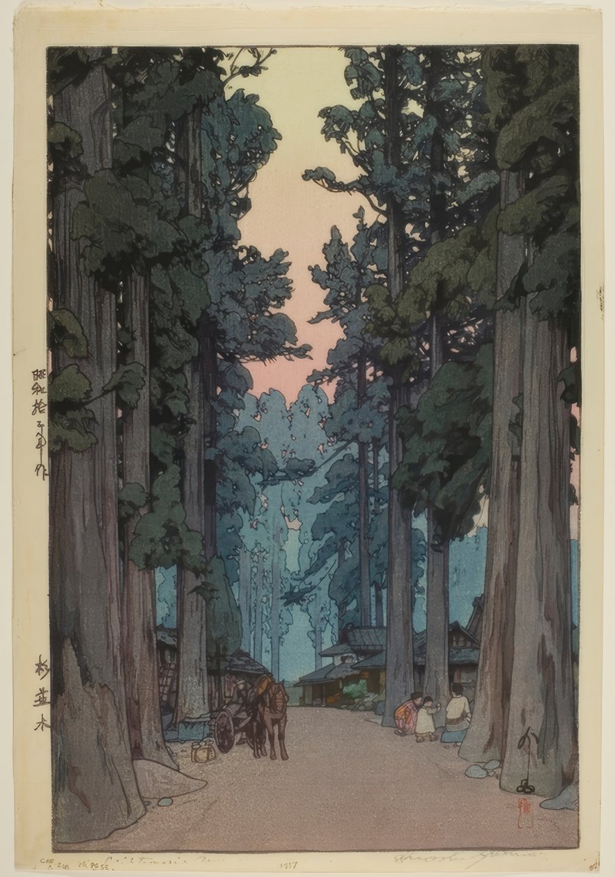 kriptomerya caddesi by Yoshida Hiroshi