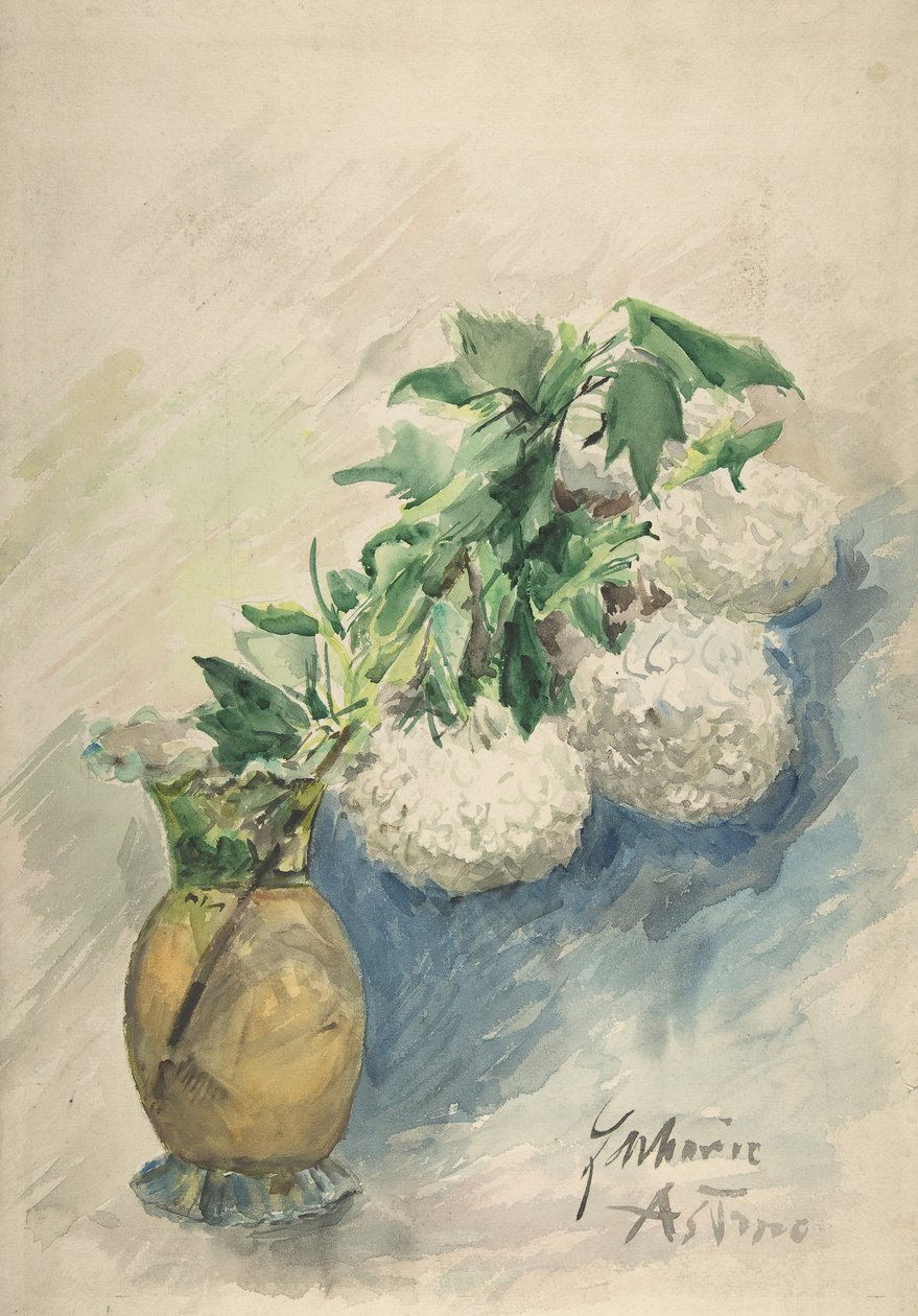 Vazoda Beyaz Çiçekler, ca. 1884-1904. by Zacharie Astruc