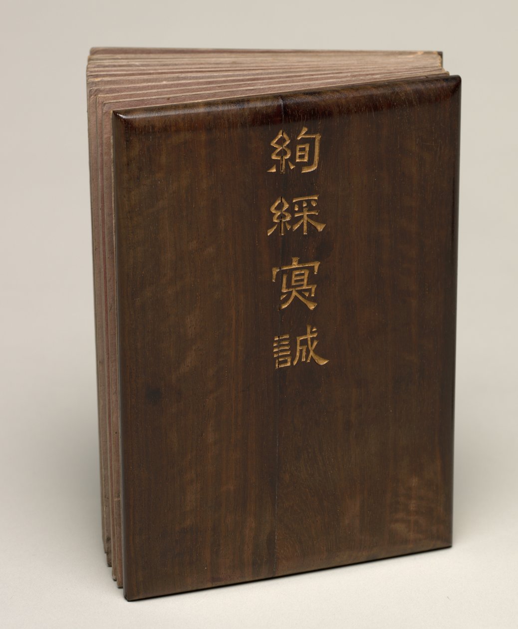 Masa Albümü: Çiçek ve Kuş Resimleri by Zhang Ruoai