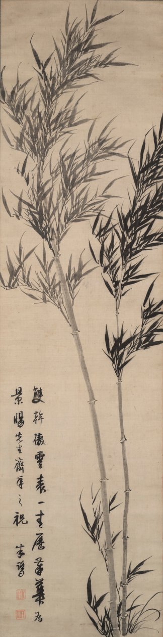 Bambu by Zhu Lu