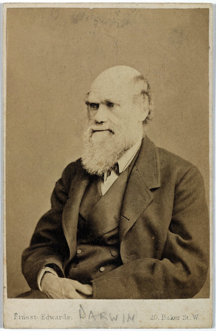 Charles Darwin, İngiliz doğa bilimci, 1870