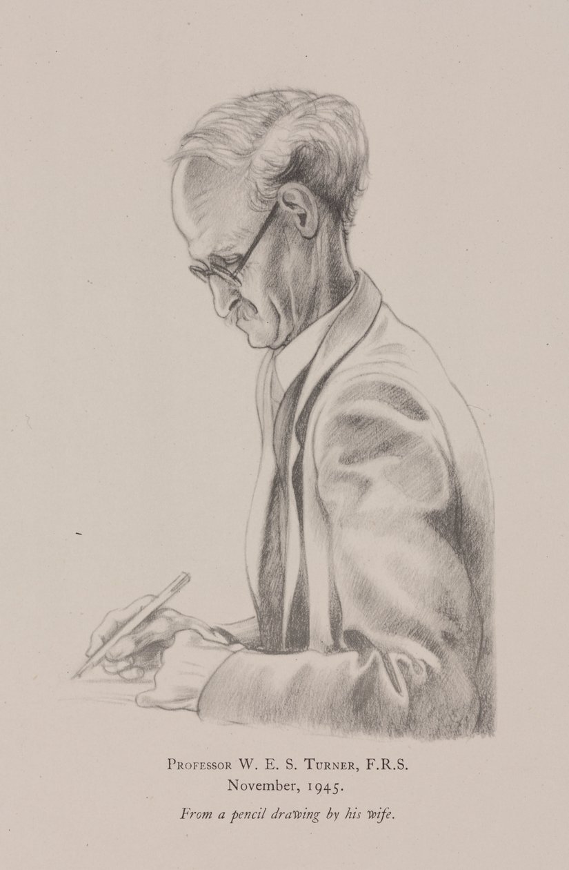Profesör WES Turner, Kasım by Frederick (attr. to) Barnard