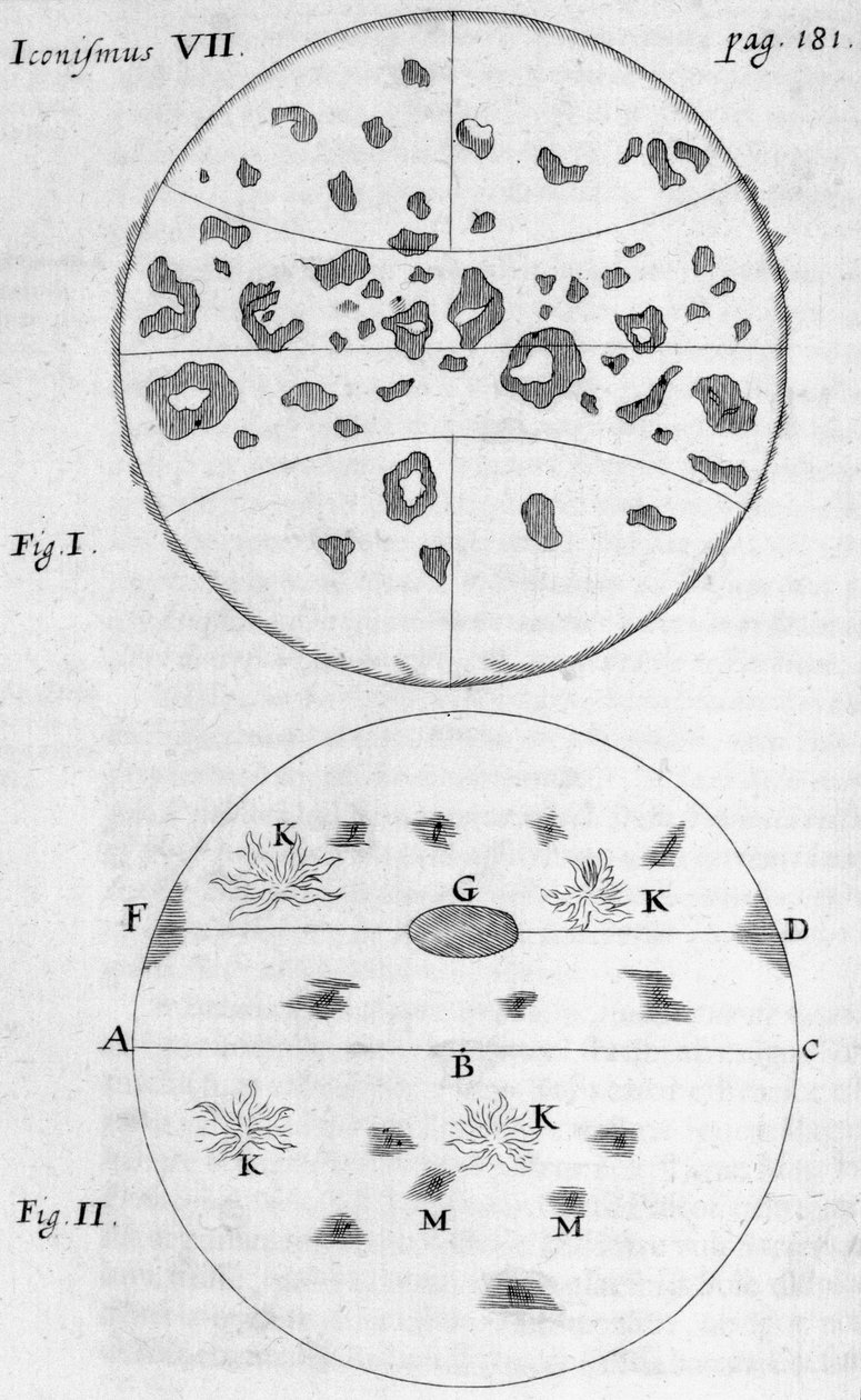 Güneş lekeleri by Frederick (attr. to) Barnard
