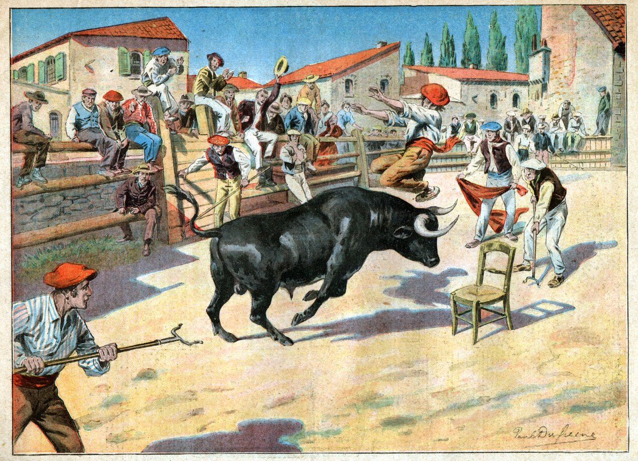 Camargue