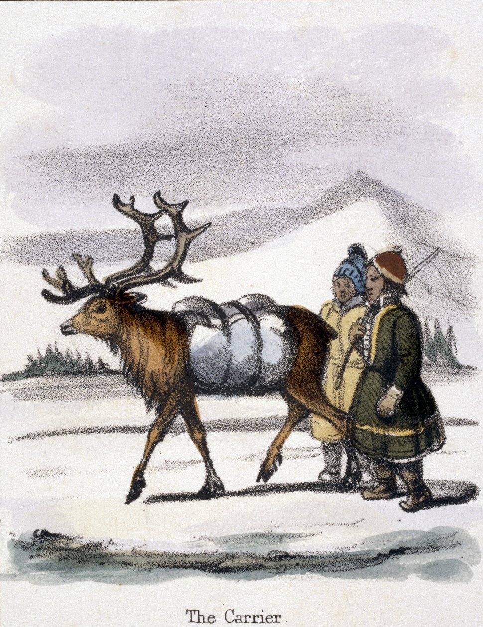 Taşıyıcı