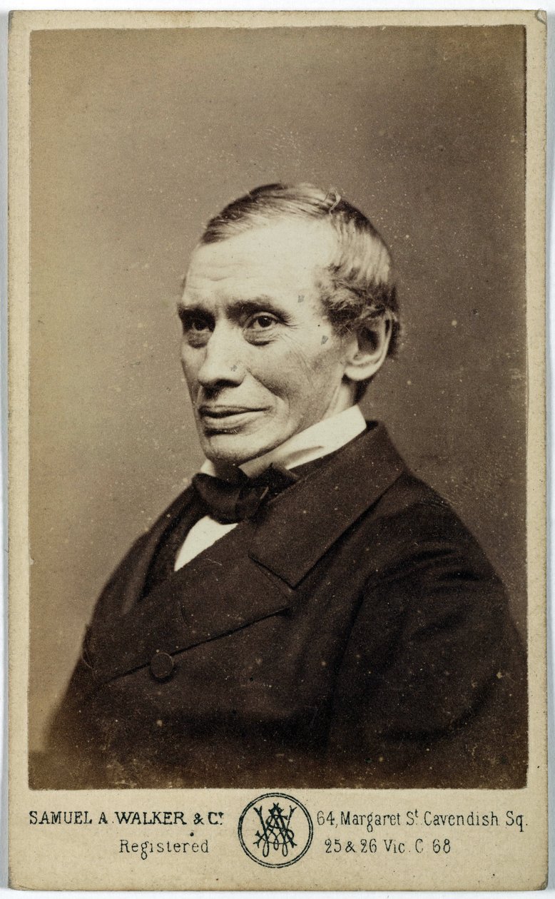 Thomas Graham, İskoç kimyager, 1870 dolayları by Frederick (attr. to) Barnard