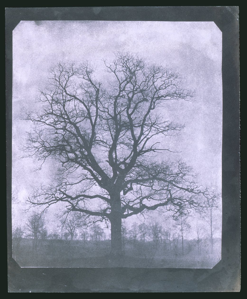 Kışın ağaç, 19. yüzyılın ortalarında by Frederick (attr. to) Barnard