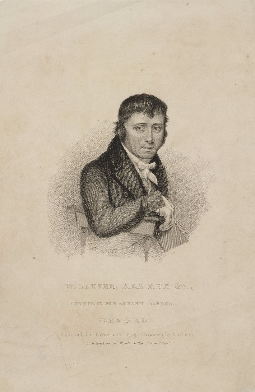 William Baxter, ALS FHS, İngiliz botanikçi, 1820