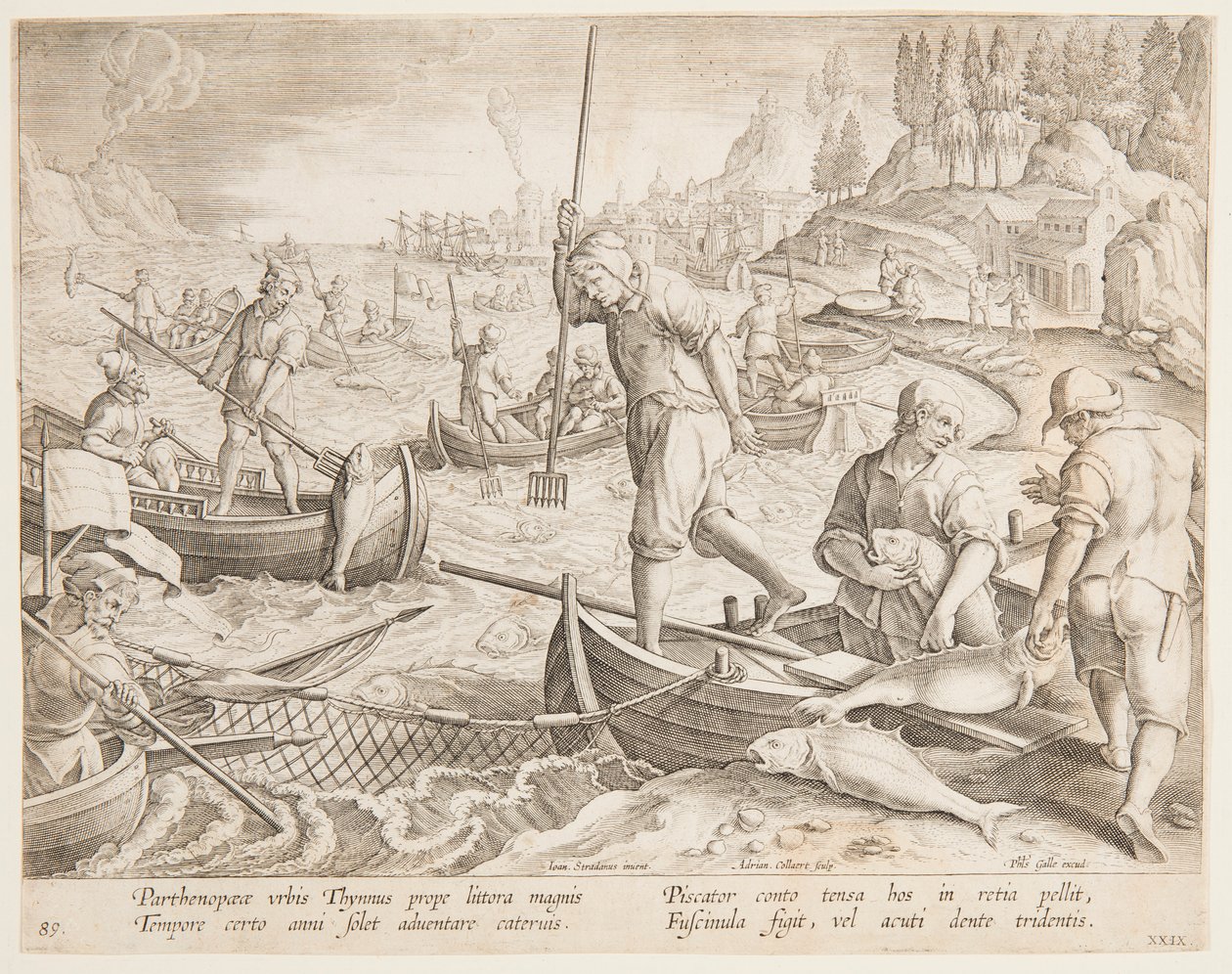 ton balığı avı by after Jan van der Straet, called Stradanus