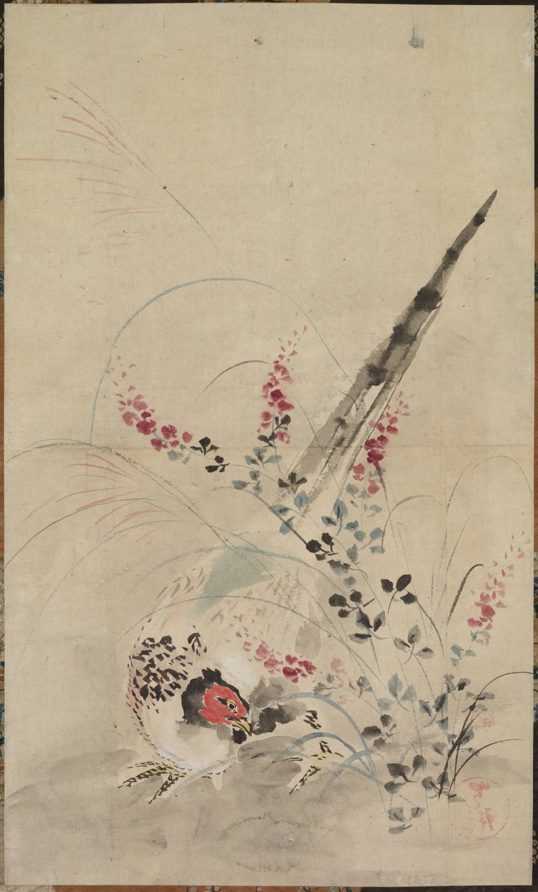 Sülün ve Otlar by attributed to Ogata Kōrin