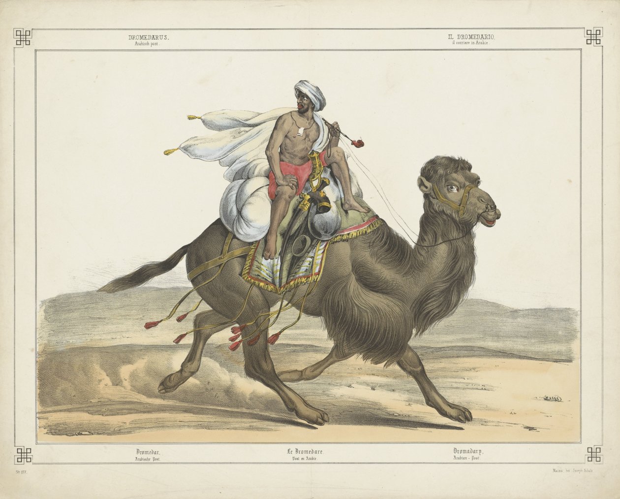 Dromedarus, / Arabisch gönderisi (nesne üzerindeki başlık) by firma Joseph Scholz