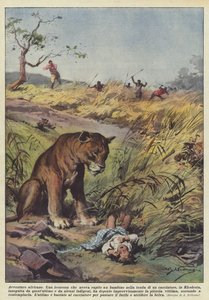 Afrika maceraları