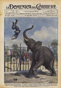 Pachyderm