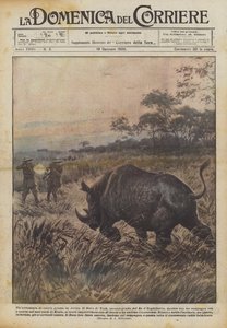 Afrika'da büyük bir av macerası