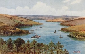 Salcombe, Haliç