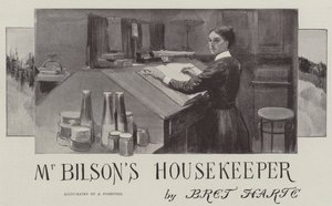 Bay Bilson