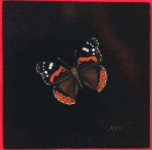 Kızıl Amiral kelebek, 2001