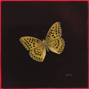 Gümüş yıkanmış fritiller kelebek, 2000