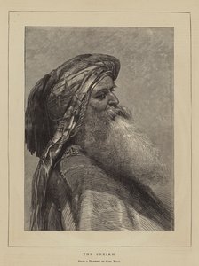 Şeyh