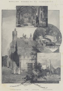 ಇಂಗ್ಲೀಷ್ ಹೋಮ್ಸ್, ಕ್ಯಾಸಿಯೋಬರಿ ಟರ್ಕ್