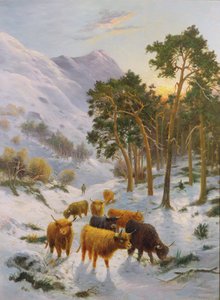 Bir Kış Manzarasında Yayla Sığırları