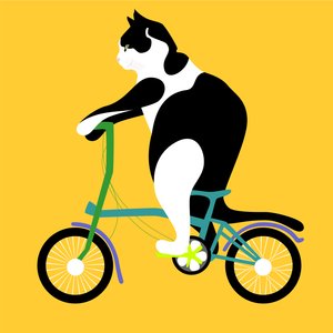 Brompton Bisikletli Kedi