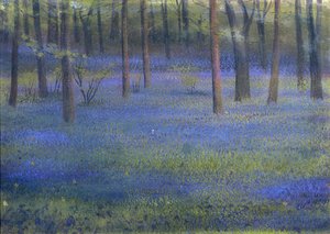 Bluebell Wood (kağıt üzerine pastel)