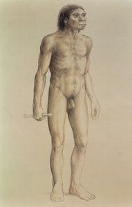 Homo erectus (kağıt üzerine kurşun kalem)