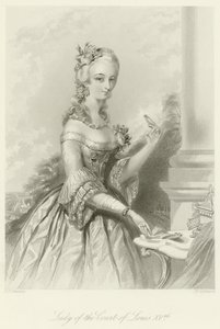 Louis XV. Mahkemesi Leydisi