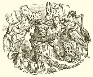 Aesop