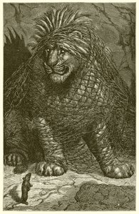 Aslan ve Fare