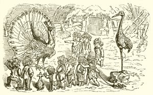 Hare na Tortoise byongeye kugaruka, Hare iyobora ki