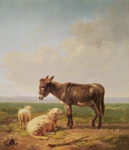 Eşek ve Koyun, 1849 (petrol)