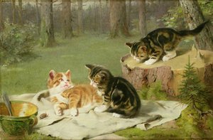 oynayan yavru kedi