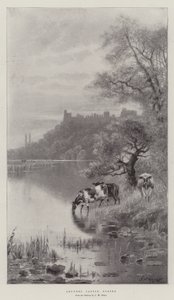 Arundel Kalesi, Sussex