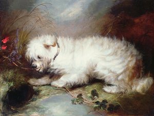 Nöbette, 1867