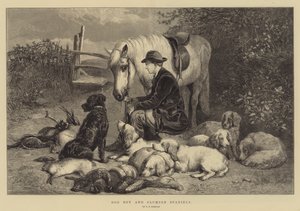 Köpek Çocuk ve Clumber Spaniel