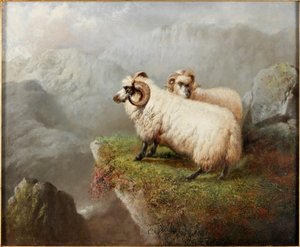 Uçurumun Kenarında Koyun, c.1865-68